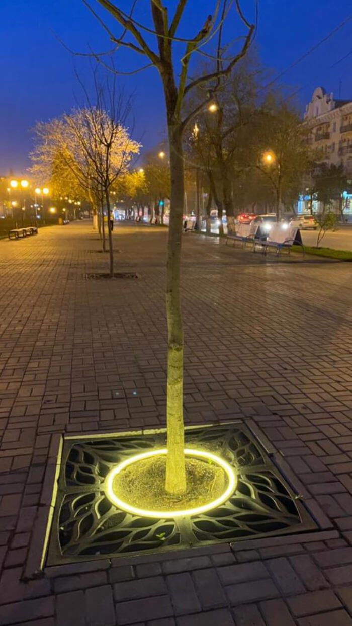 Приствольная решетка для дерева ZKING CRUST 1.2х1.2м Черная в Сальске фото